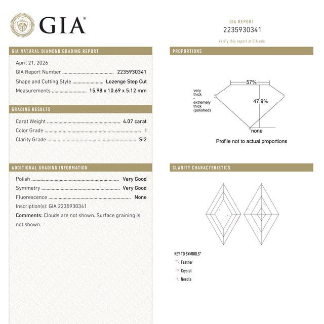 4.06ct 15.98x10.69x5.12mm GIA SI2 I Lozenge Step Cut 28010-01