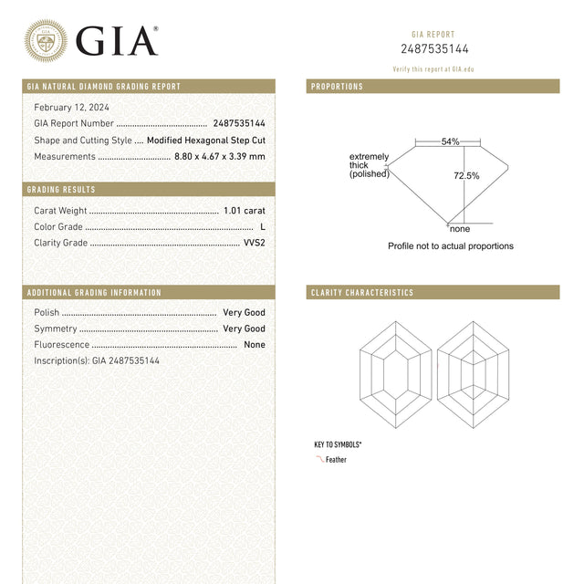 1.01ct 8.80x4.67x3.39mm GIA VVS2 L Hexagon Step Cut 25078-01