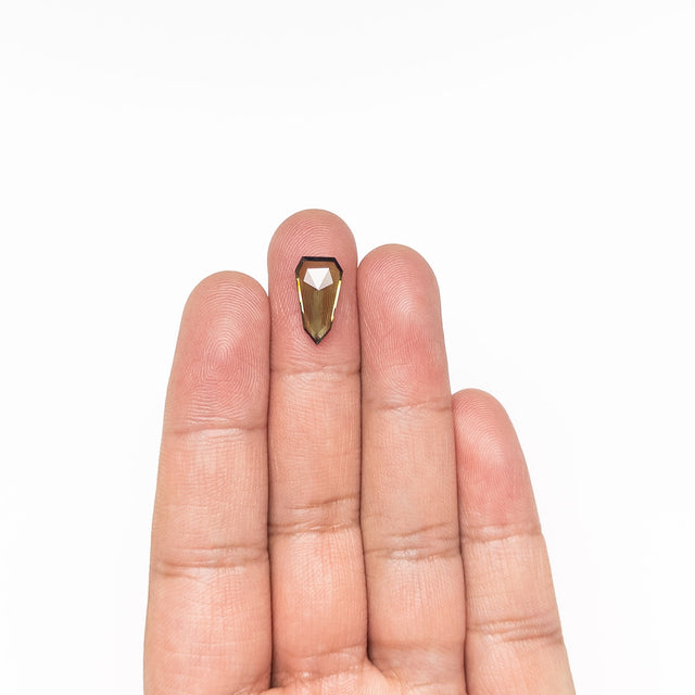 2.49ct 14.08x7.71x2.64mm Shield Rosecut Sapphire 26327-13