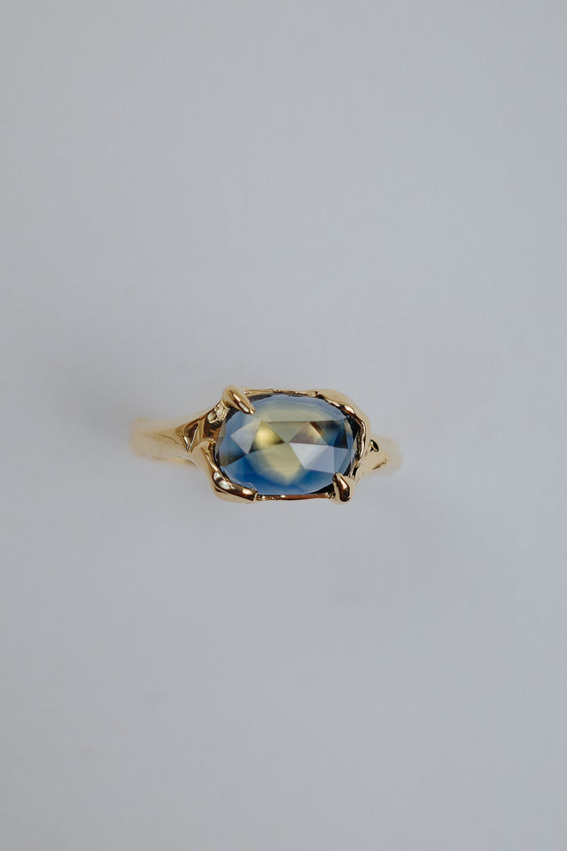Organic Claw Sapphire Signet Ring