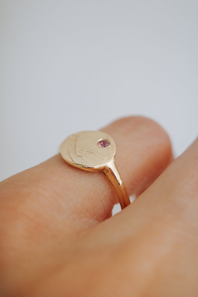 Mars Signet Ring in Yellow Gold + Ruby