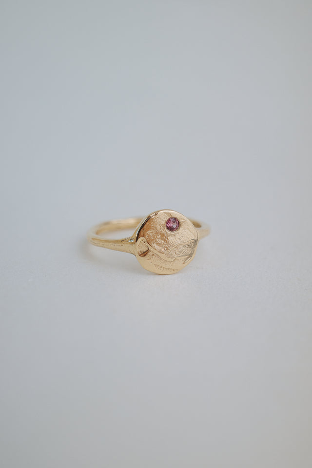 Mars Signet Ring in Yellow Gold + Ruby