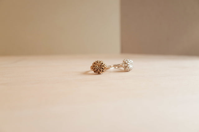 Nest Ring