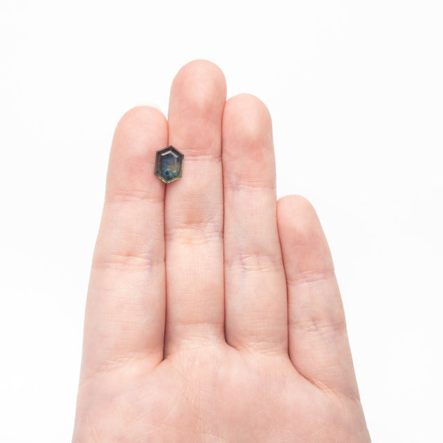 2.77ct 10.05x7.16x3.32mm Hexagon Portrait Cut Sapphire 22266-47