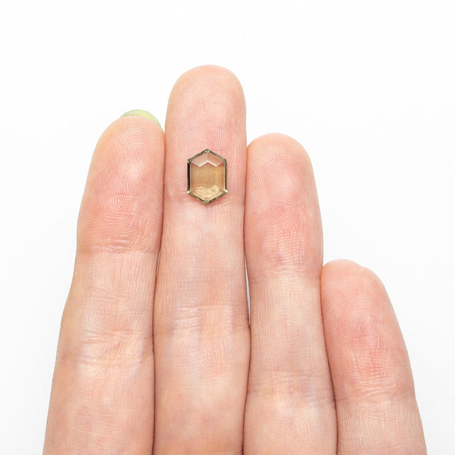 2.03ct 9.18x6.56x2.93mm Hexagon Portrait Cut Sapphire 23678-09