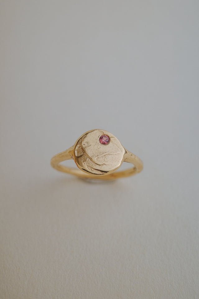 Mars Signet Ring in Yellow Gold + Ruby